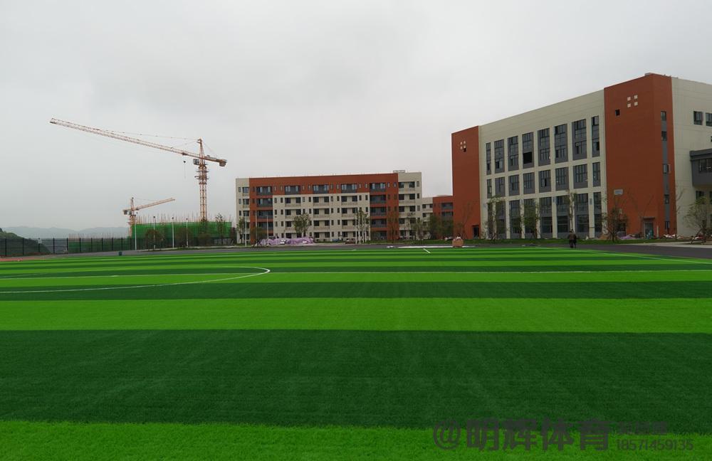 雅安人造草坪足球场