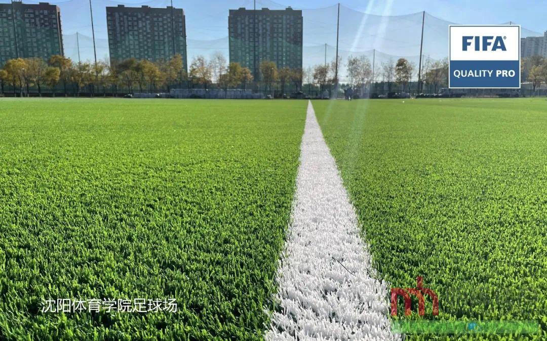 葫芦岛人造草坪足球场